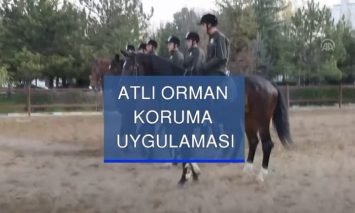 ATLI ORMAN KORUMA UYGULAMASI