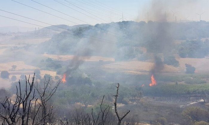 İzmir’in Aliağa ilçesinde yangın çıktı