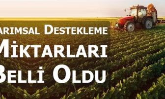 Tarımsal desteklerin detayları belli oldu