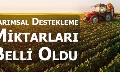 Tarımsal desteklerin detayları belli oldu