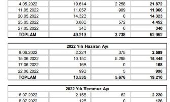 HAZİNE VE MALİYE BAKANLIĞI 2022/MAYIS-TEMMUZ  İÇ BORÇLANMA STRATEJİSİ