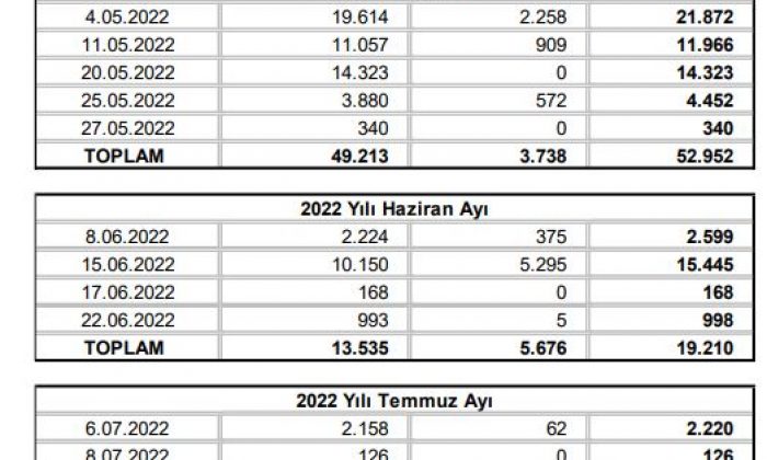 HAZİNE VE MALİYE BAKANLIĞI 2022/MAYIS-TEMMUZ  İÇ BORÇLANMA STRATEJİSİ