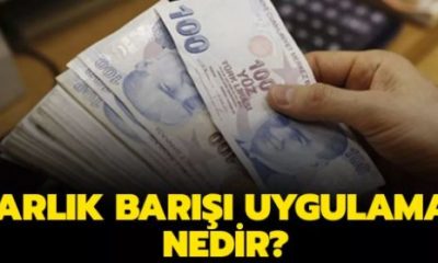 Varlık Barışı Uygulamasından Kimler Yararlanabilecek