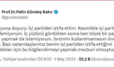 İYİ Partili Pelin Gündeş Bakır,partisinden istifa ettiğini duyurdu.