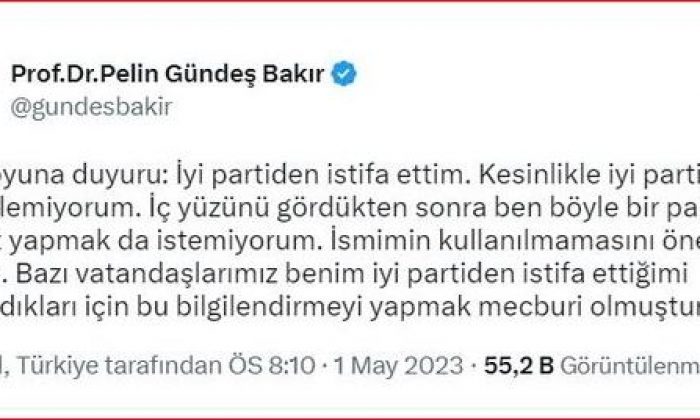 İYİ Partili Pelin Gündeş Bakır,partisinden istifa ettiğini duyurdu.