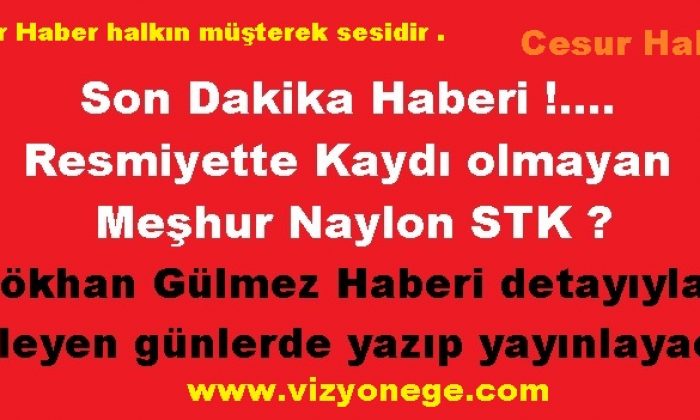 Resmiyette Kaydı olmayan Naylon STK hangisi ?