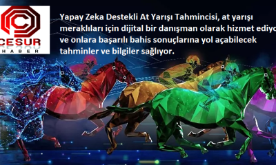 Yapay Zeka Destekli At Yarışı Tahmincisi ne yapar?