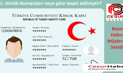 T.C. Kimlik Numaraları neye göre tespit edilmiştir?