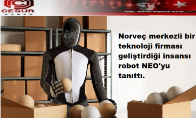 İnsansı robot Neo tüm ev işlerine yardım ediyor